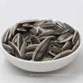 2019  hot sale small size black sunflower seeds with white stripes